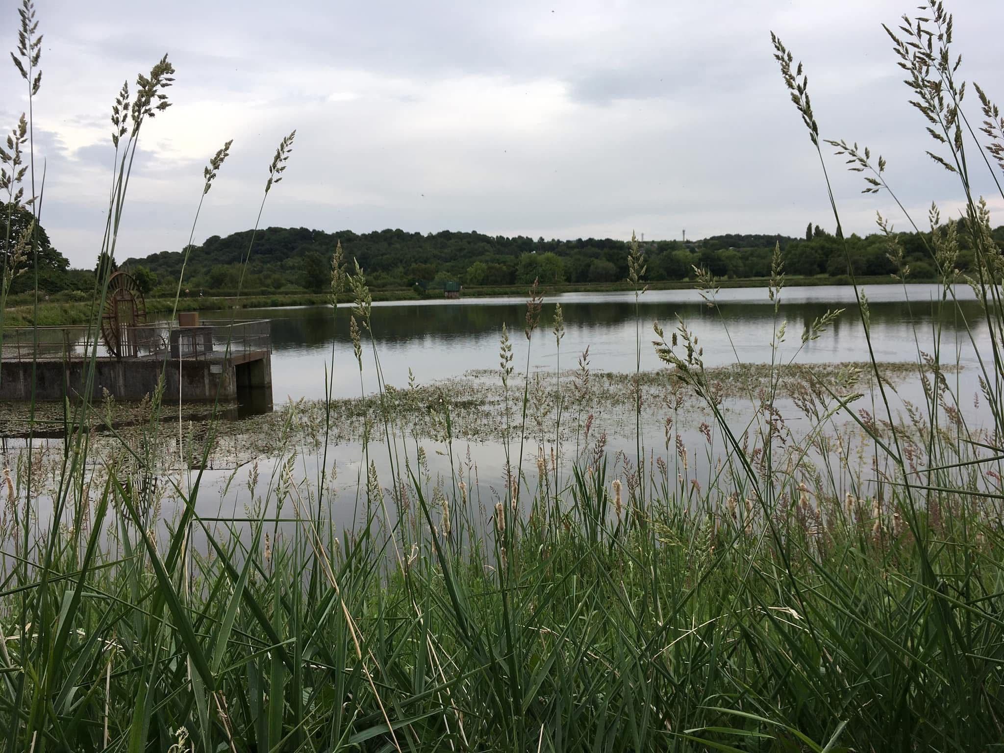 Appleton Reservoir photo 8
