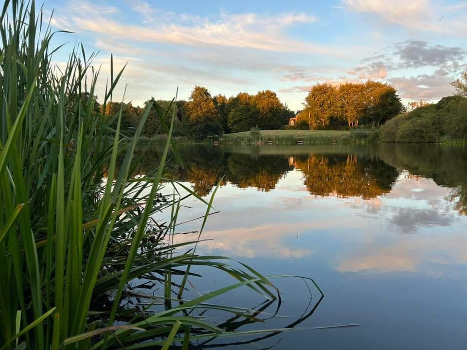 Cicely Mill Pool photo 2