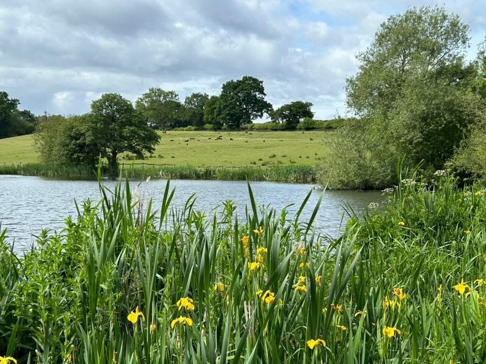 Cicely Mill Pool photo 3