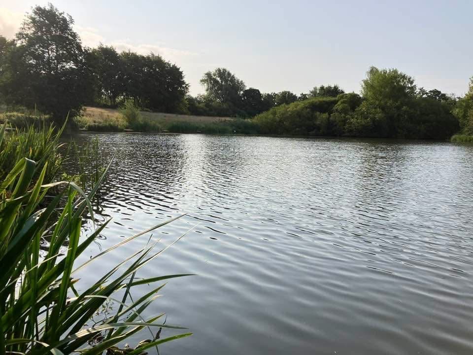 Cicely Mill Pool photo 4
