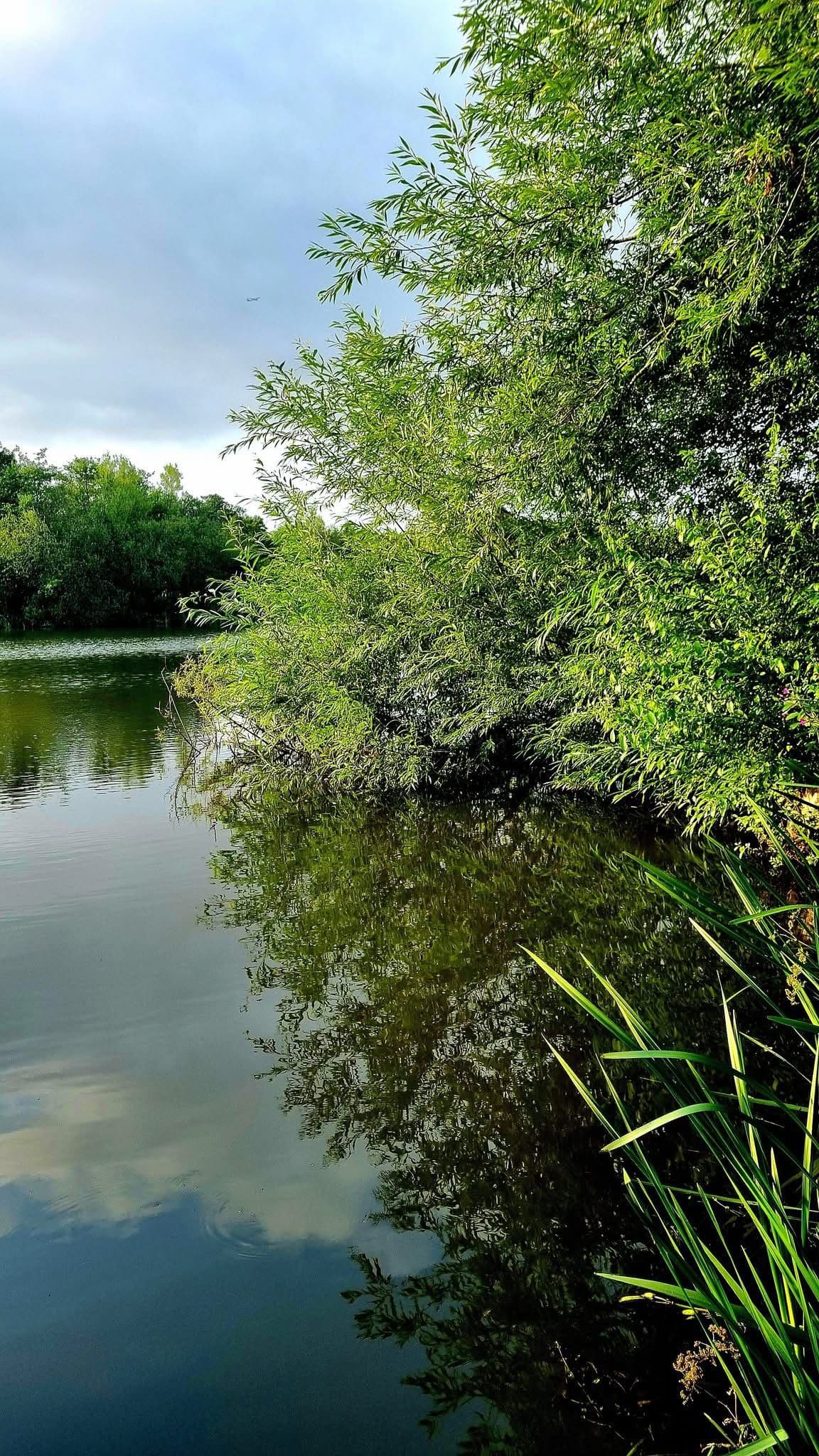 Cicely Mill Pool photo 5