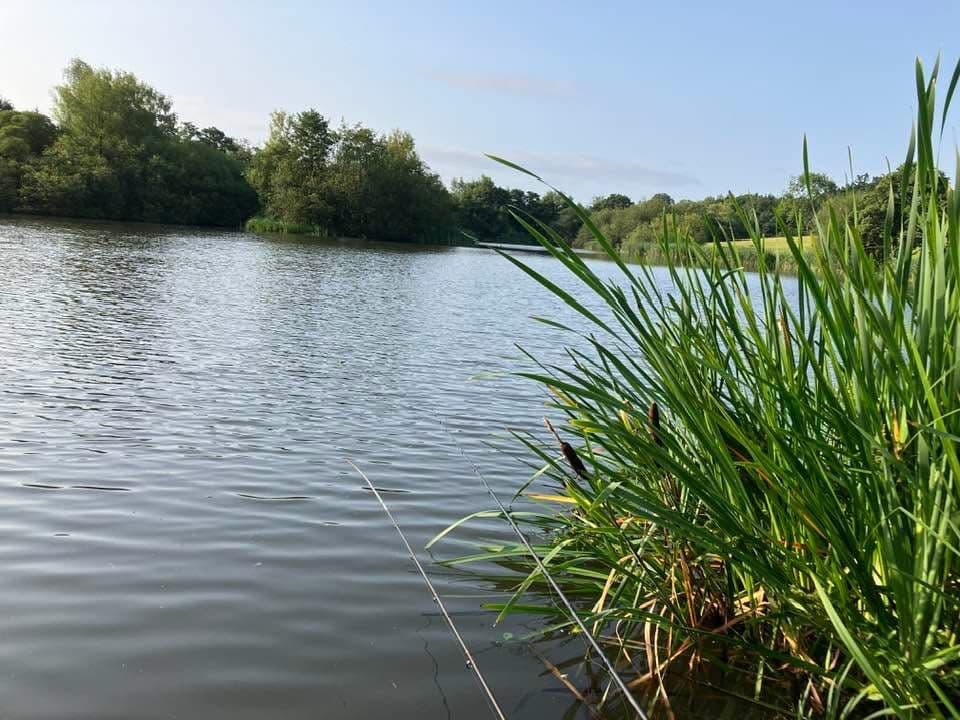 Cicely Mill Pool photo 6