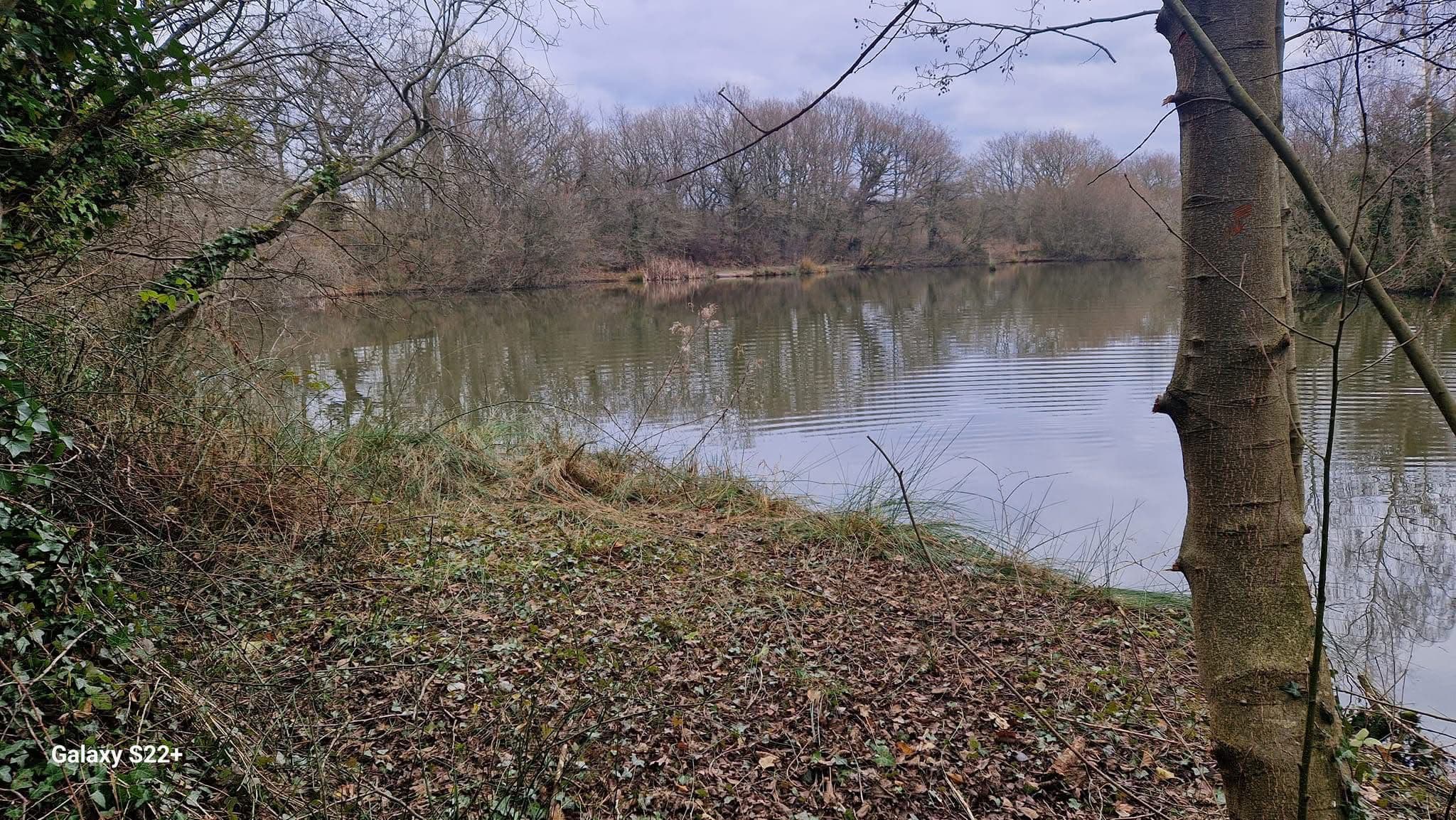 Rixton Clay Pits photo 4