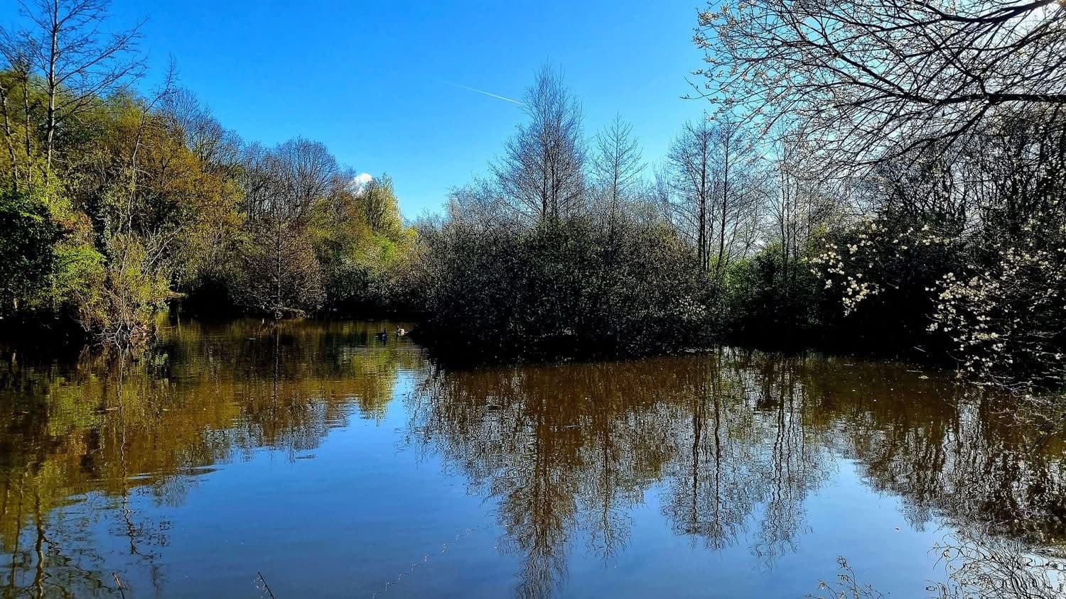 Rixton Clay Pits photo 5