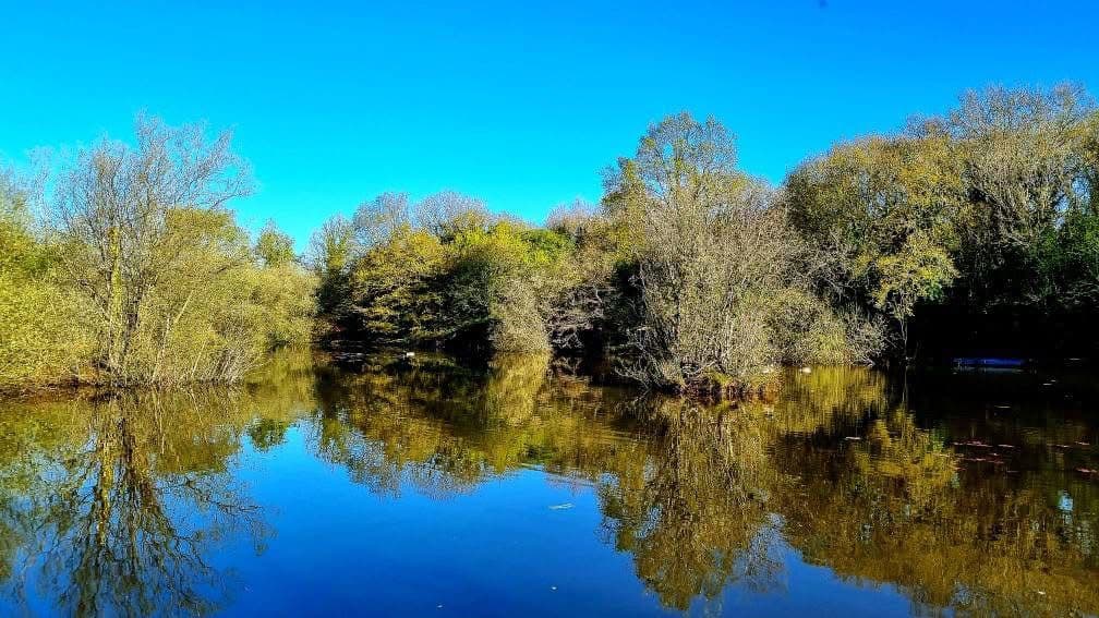 Rixton Clay Pits photo 7