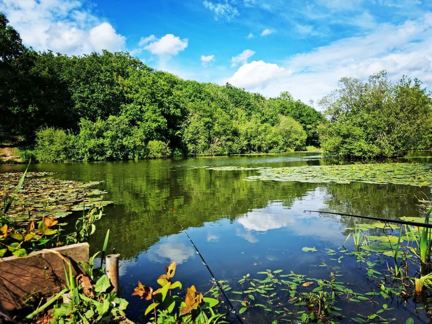 Rixton Clay Pits photo 8