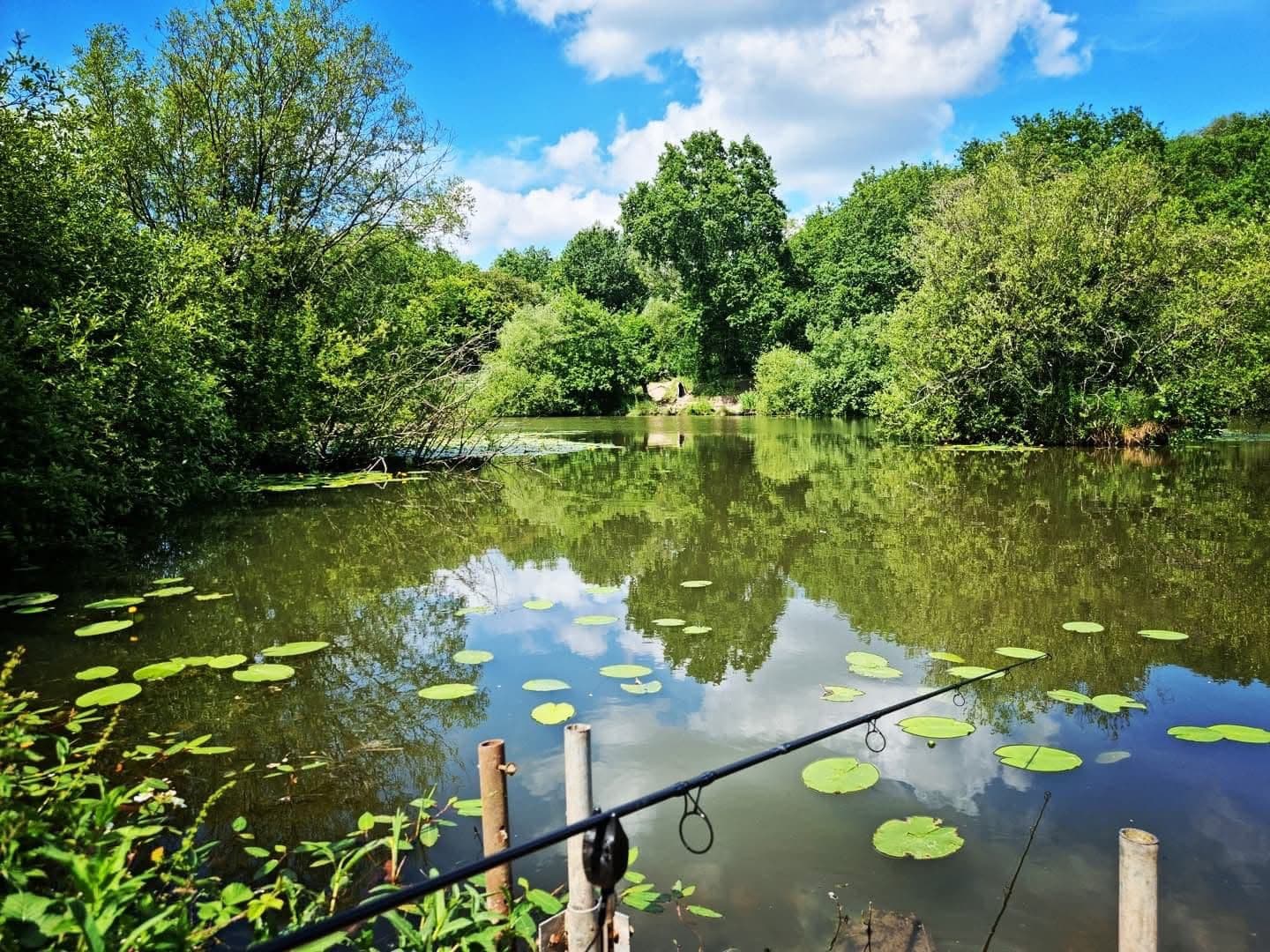 Rixton Clay Pits photo 9