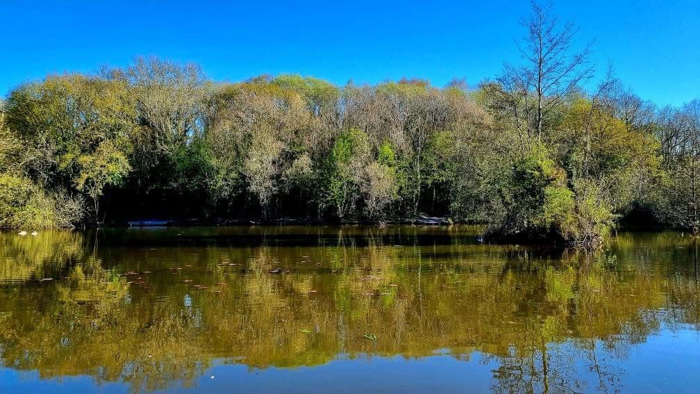 Rixton Clay Pits photo 10