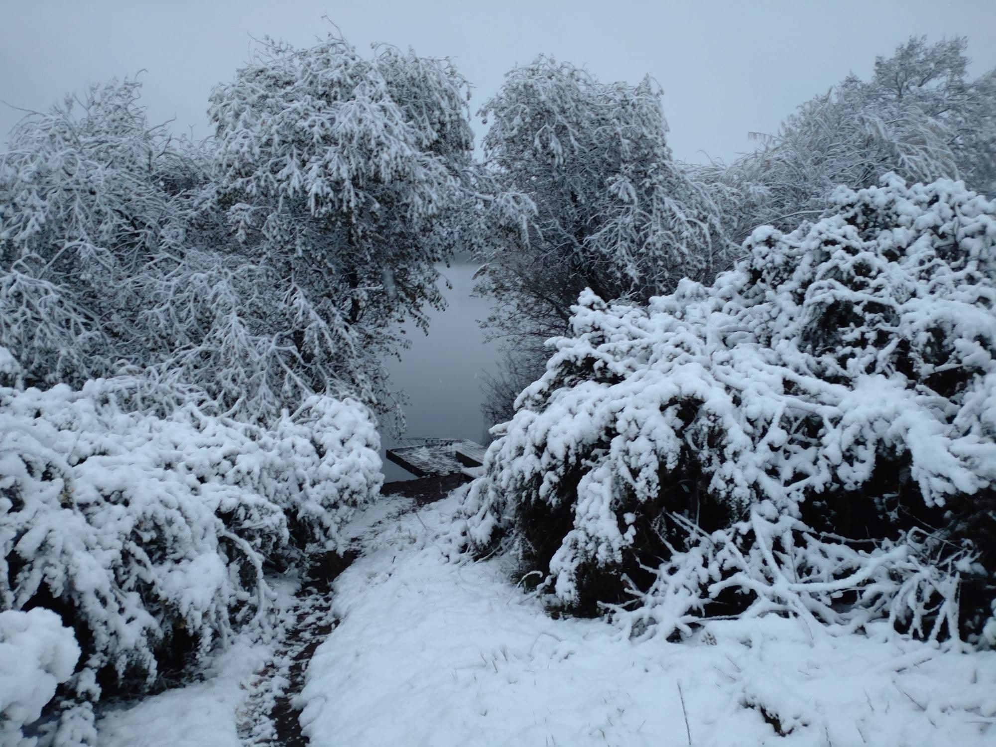 Big Sandiway photo 4