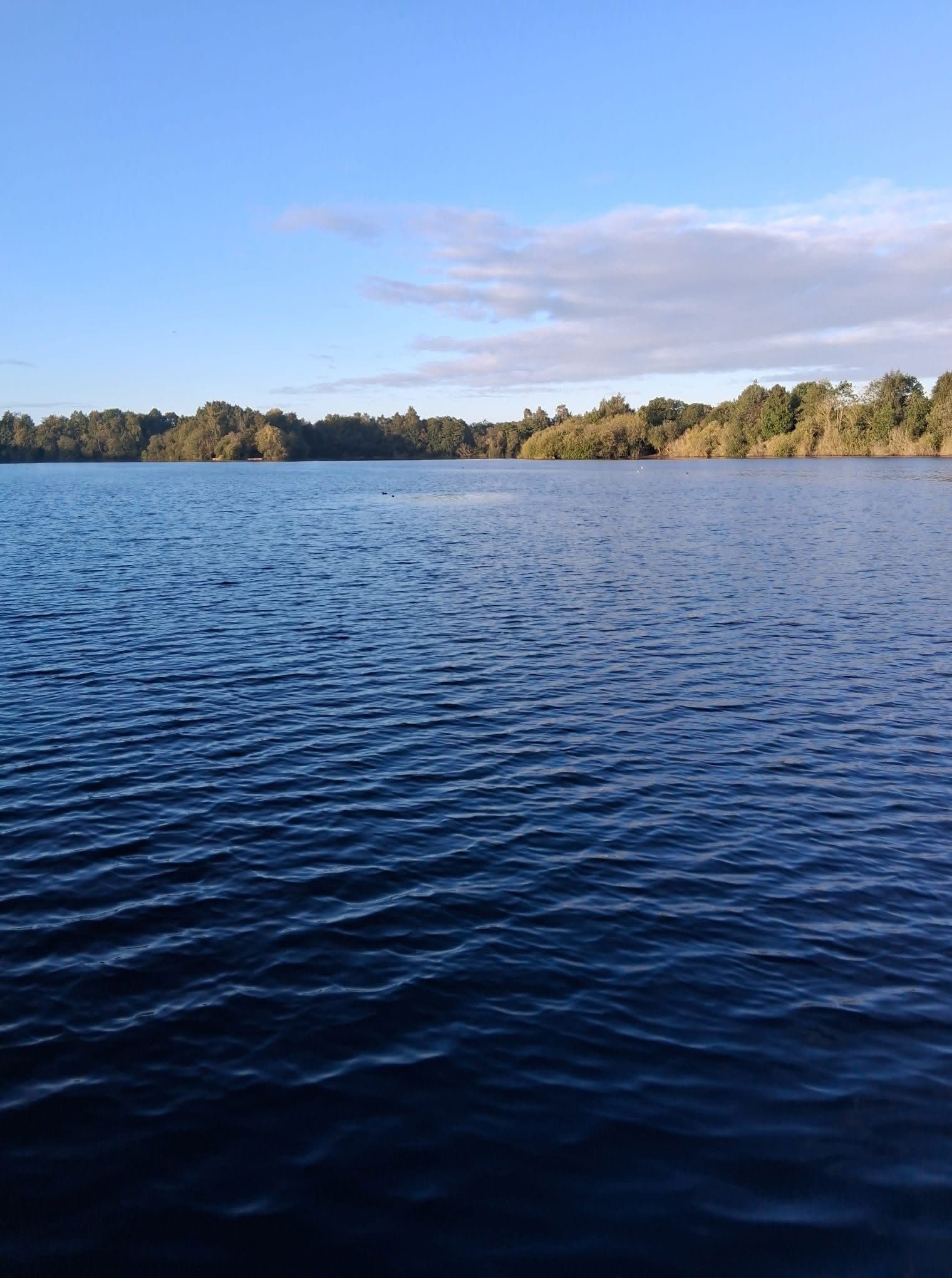 Big Sandiway photo 5