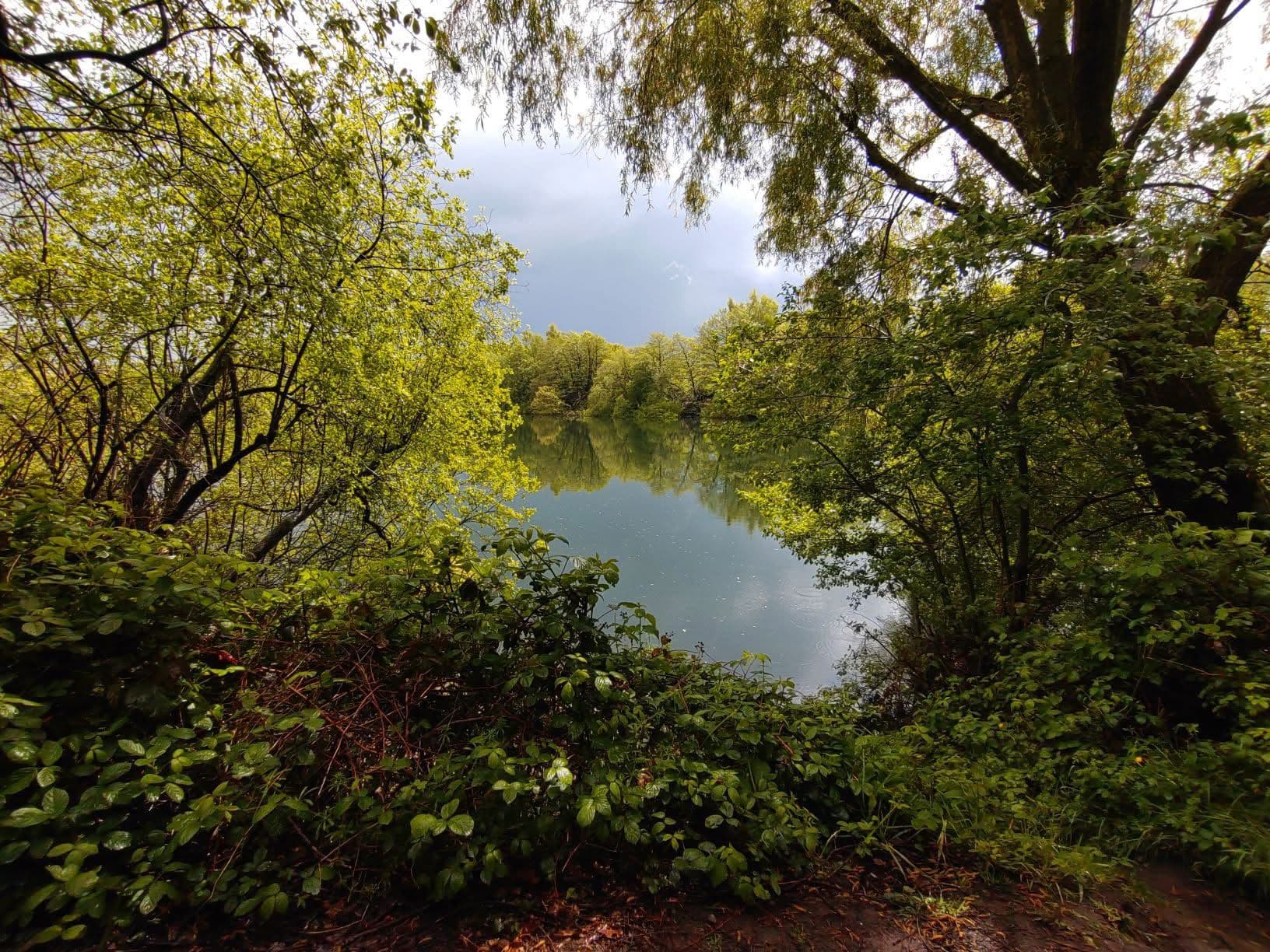 Big Sandiway photo 7