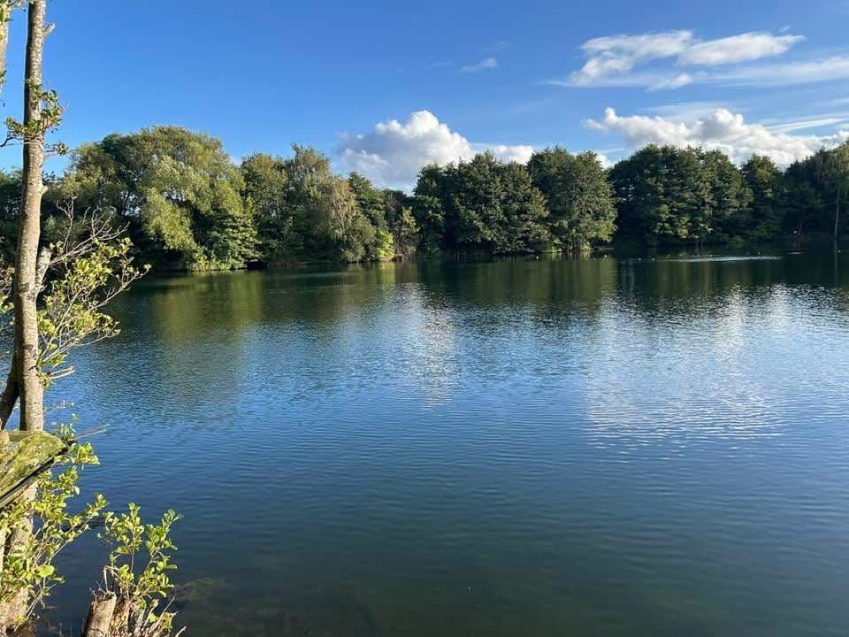 Moore Quarry photo 5