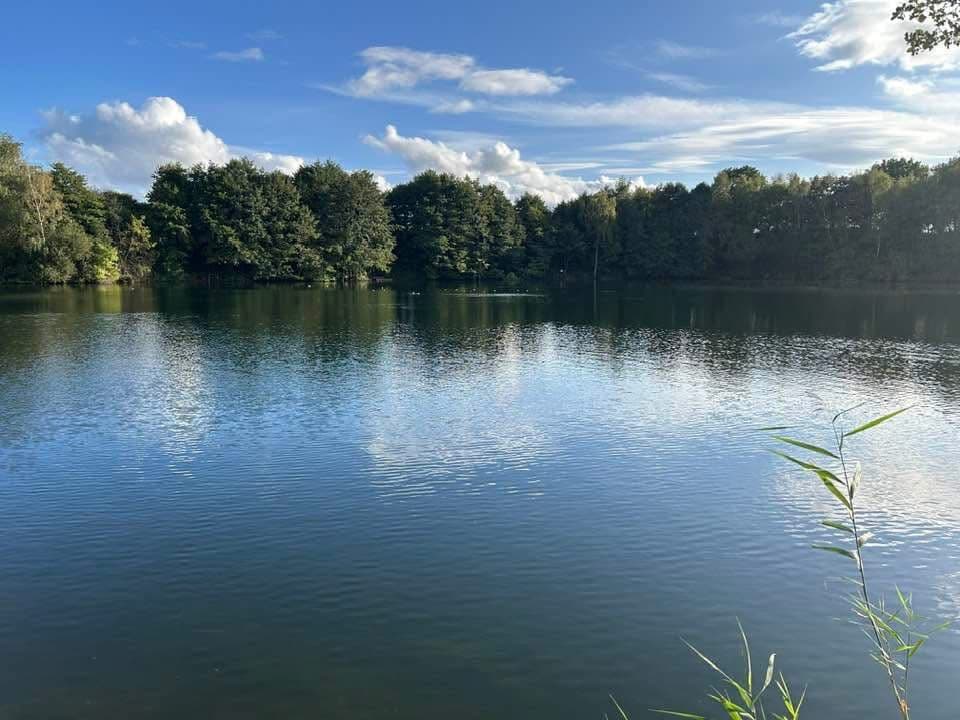 Moore Quarry photo 6