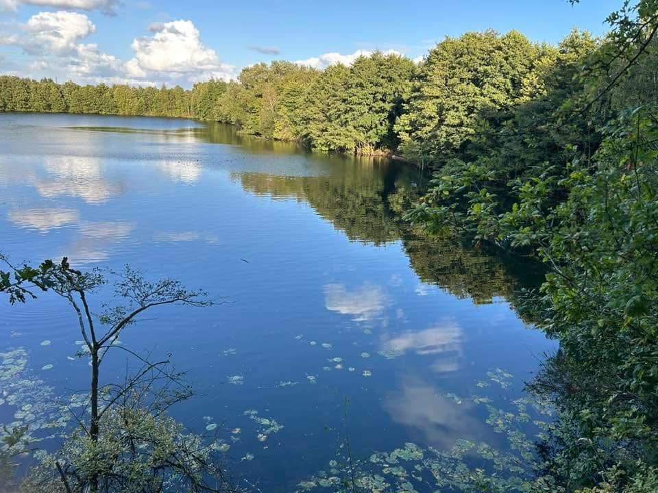 Moore Quarry photo 8