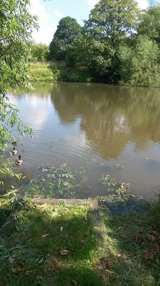 Statham Pool photo 2