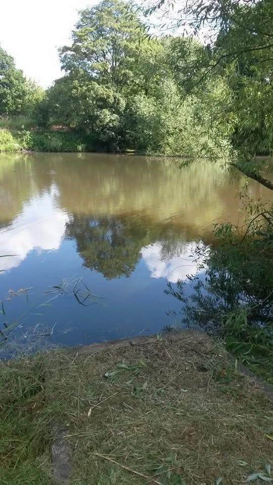 Statham Pool photo 4