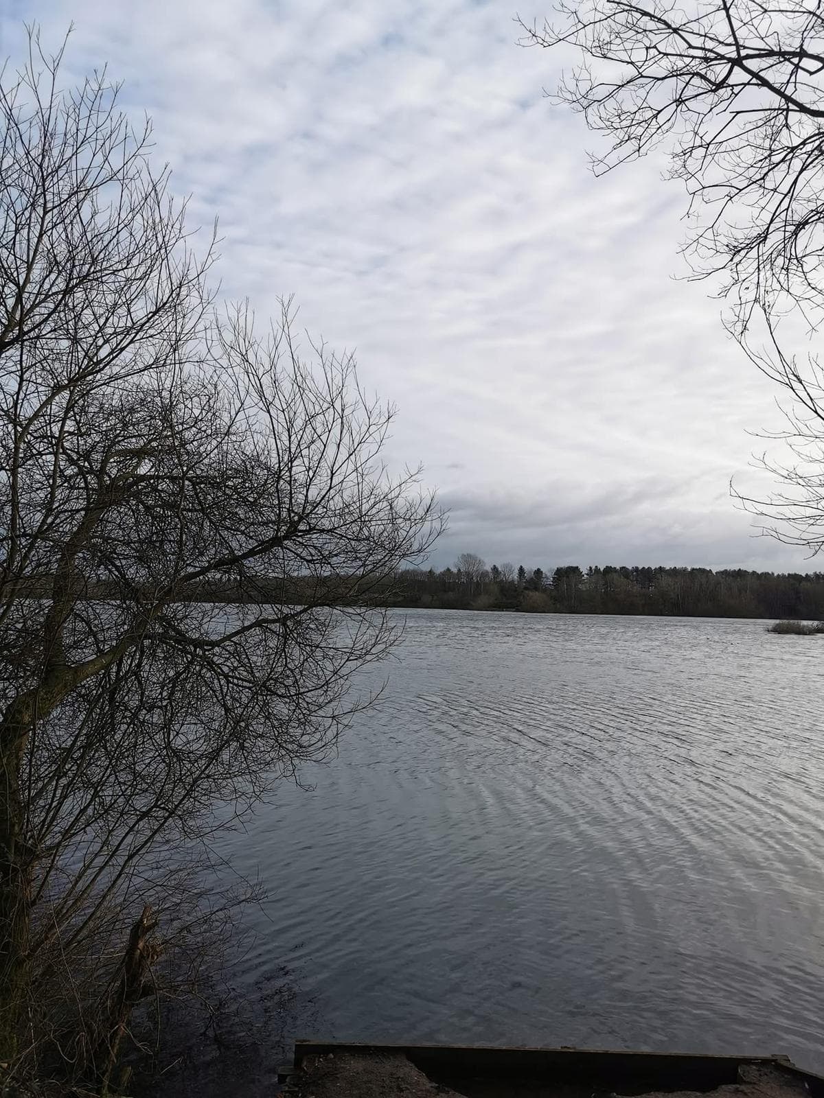 Small Sandiway photo 3