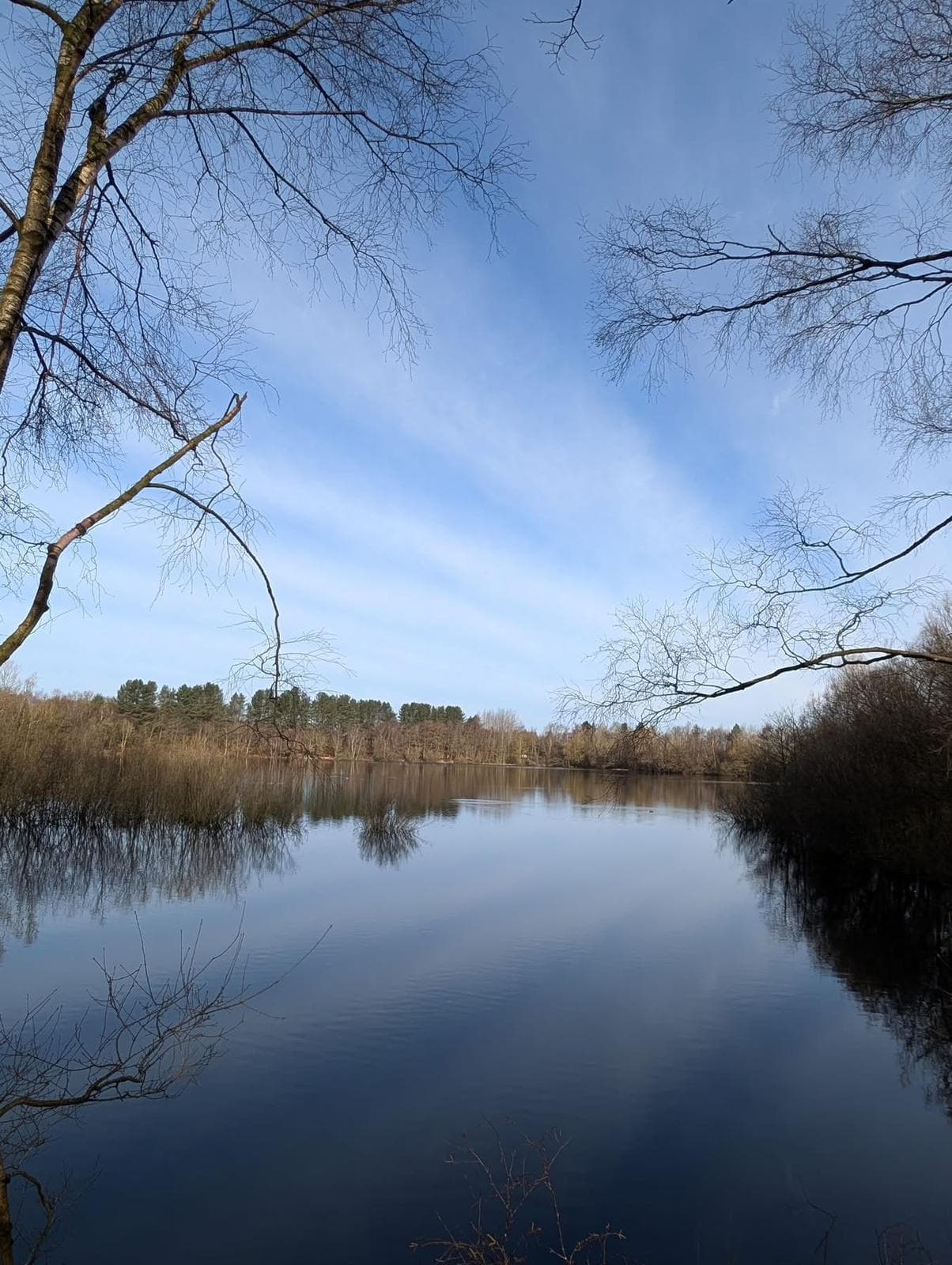 Small Sandiway photo 4