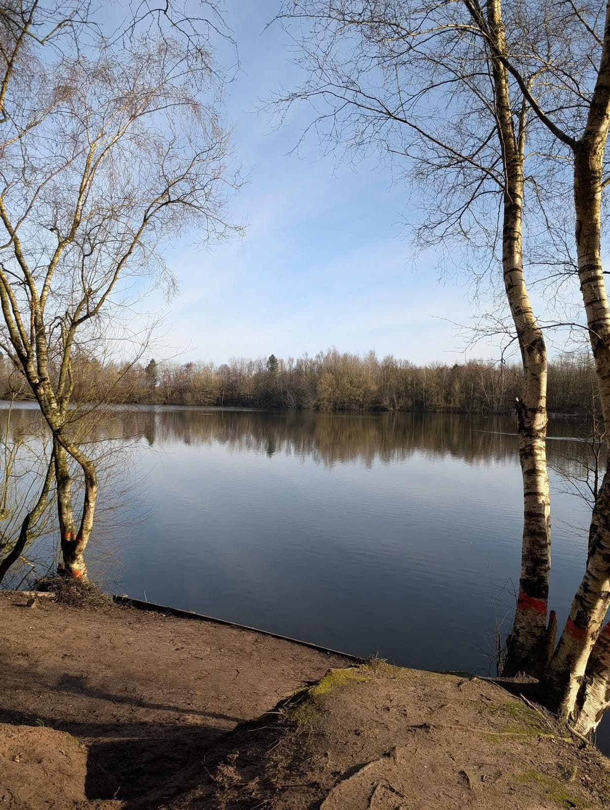 Small Sandiway photo 6