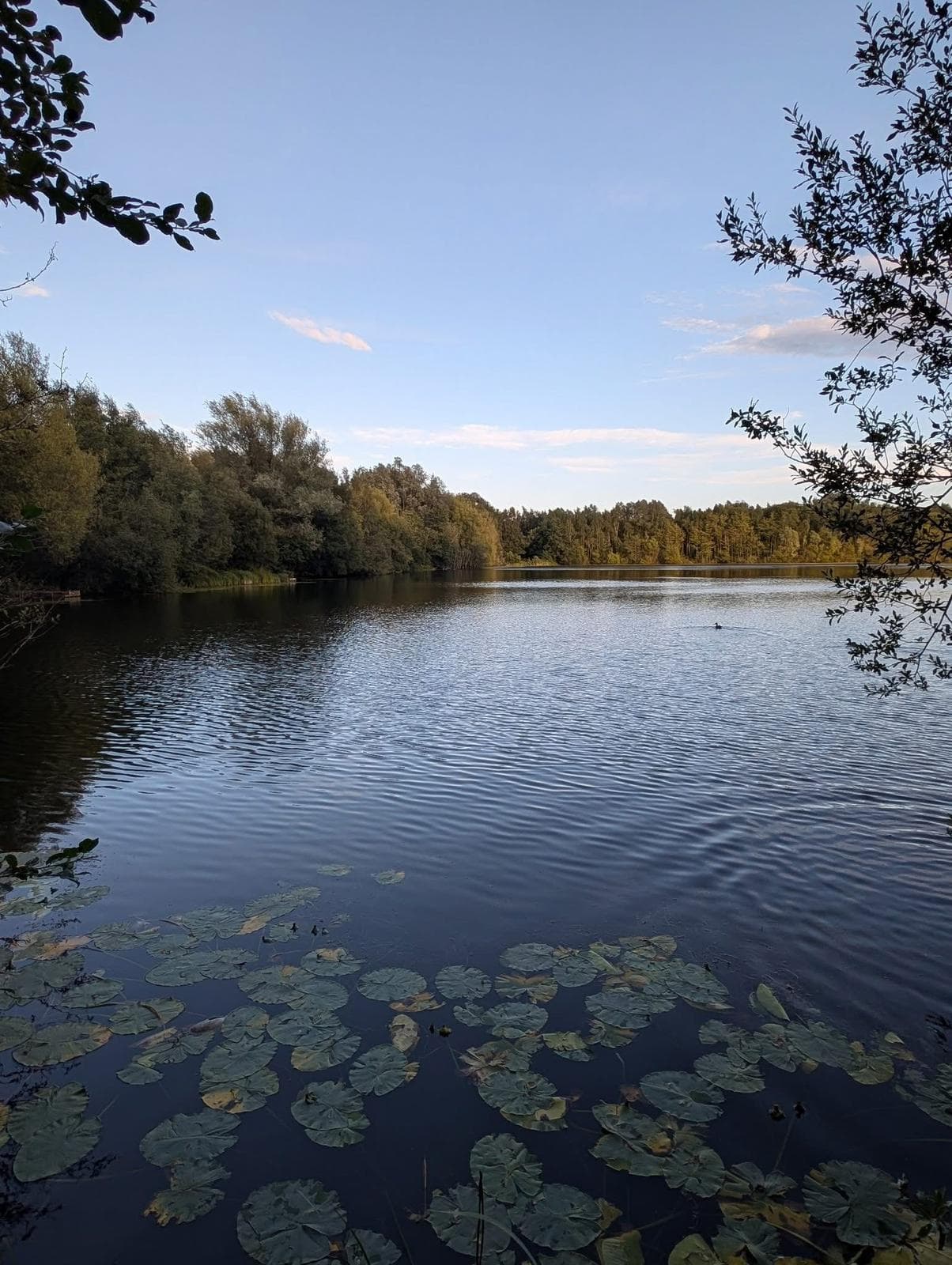 Small Sandiway photo 7