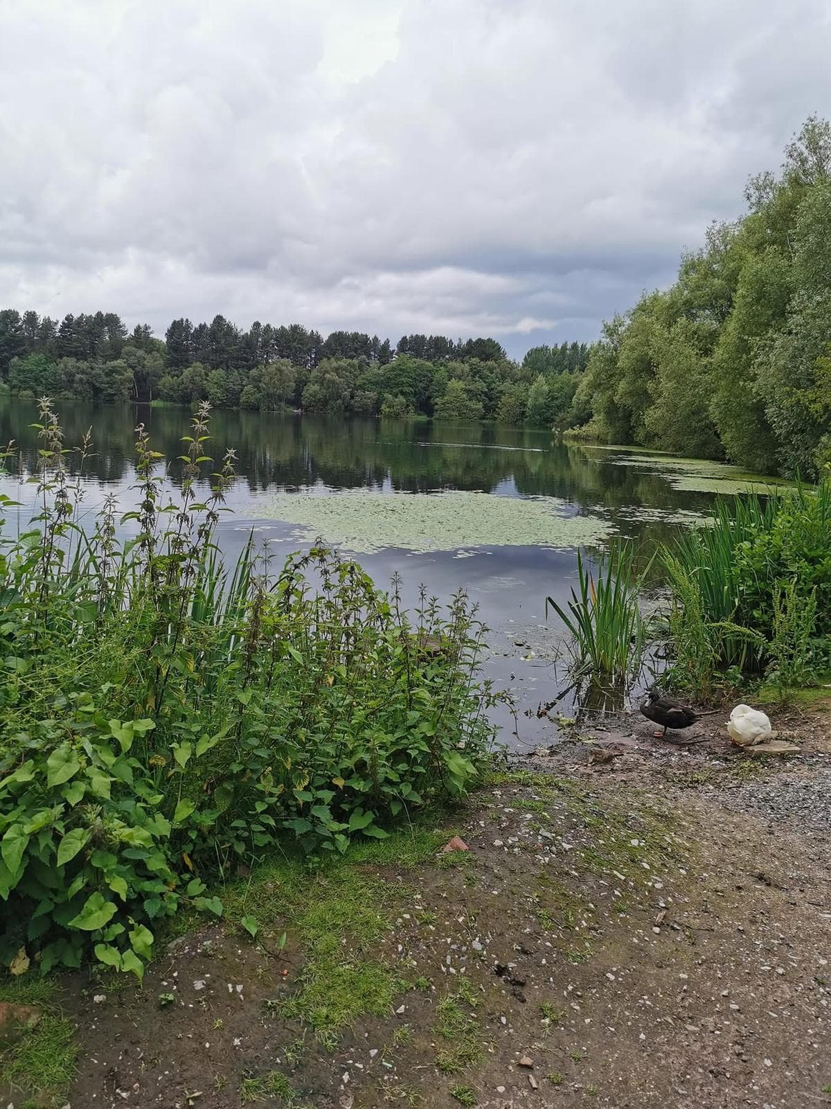 Small Sandiway photo 8