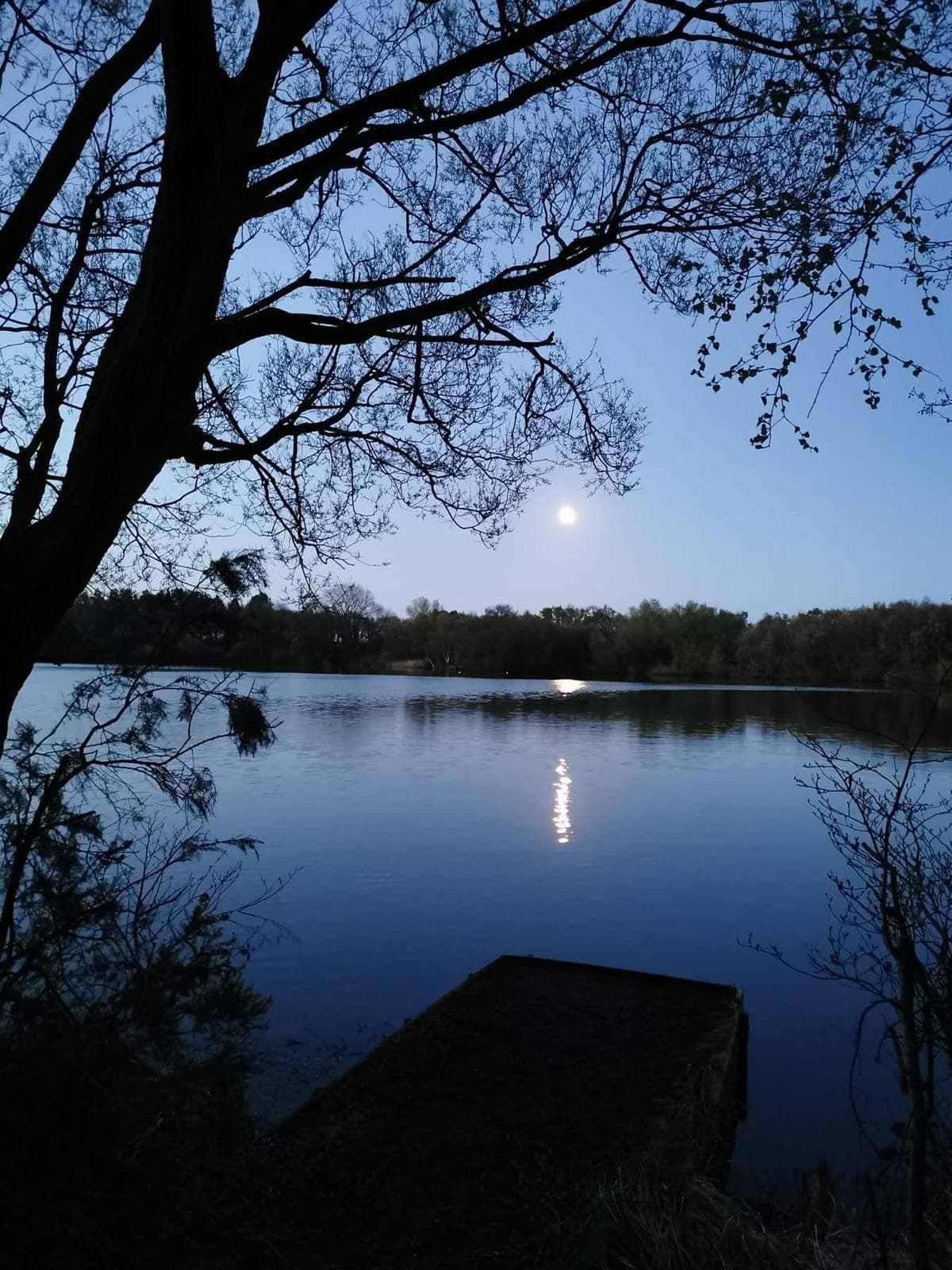 Small Sandiway photo 10