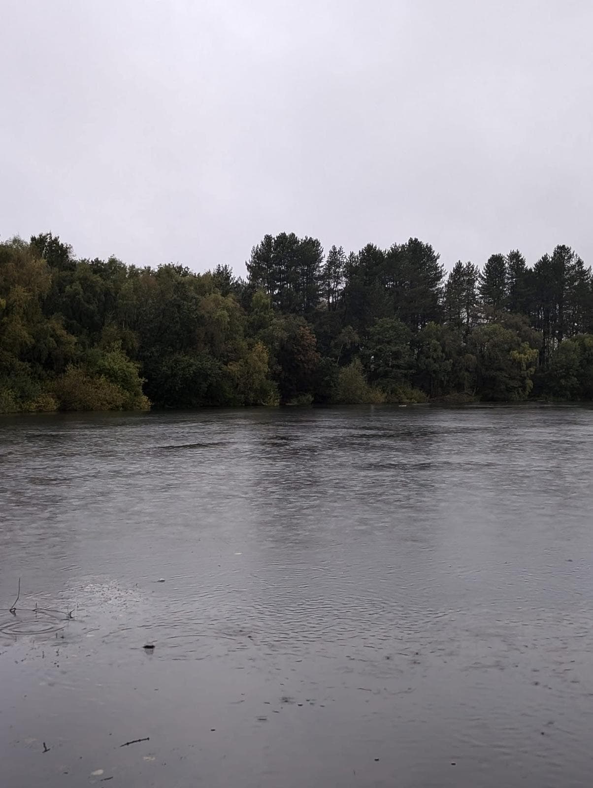 Small Sandiway photo 11