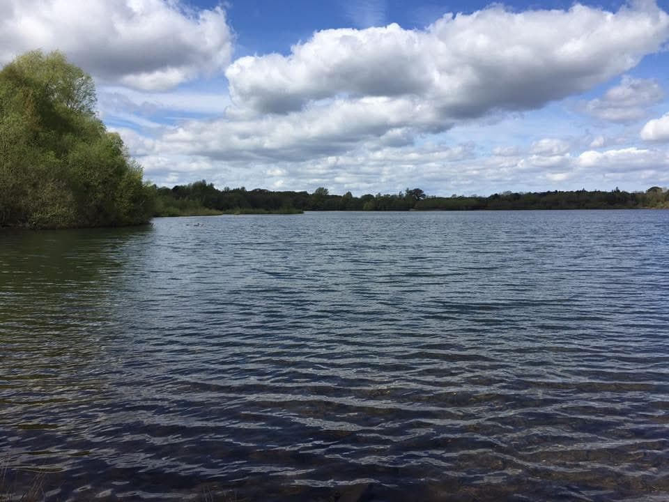 Small Sandiway photo 12