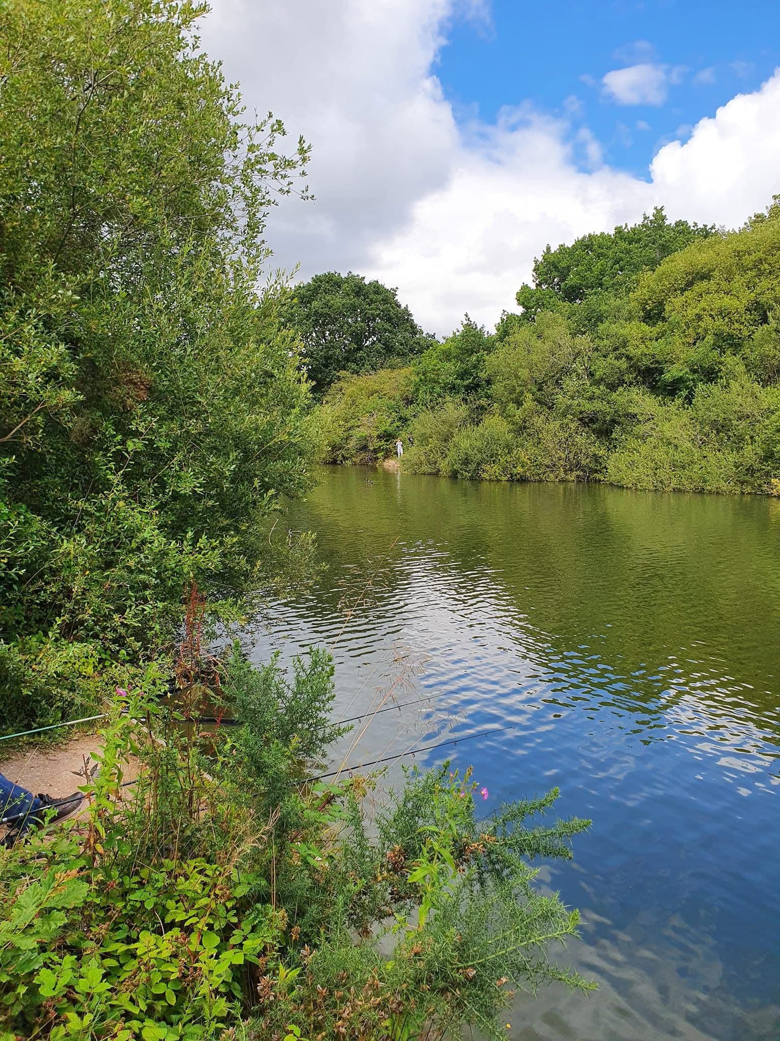 The Mount, Buckley photo 6