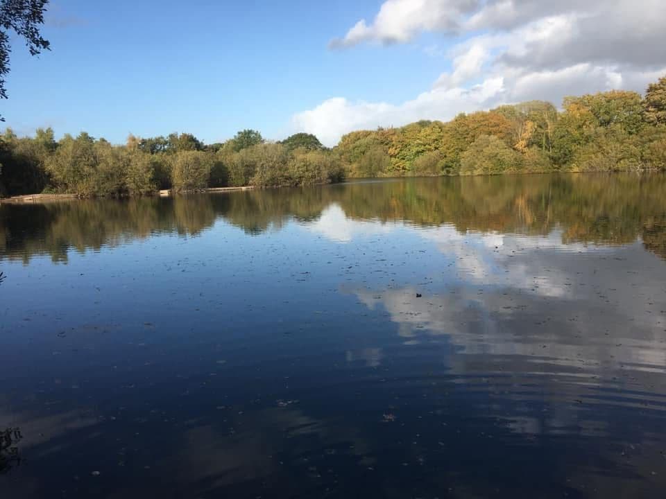 The Mount, Buckley photo 8