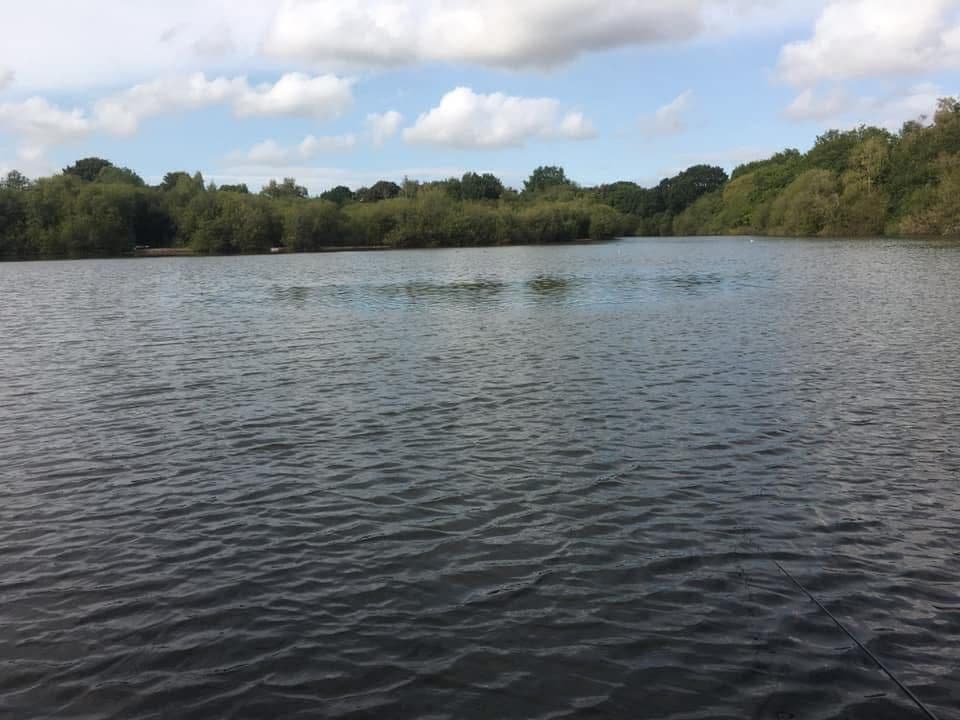 The Mount, Buckley photo 12