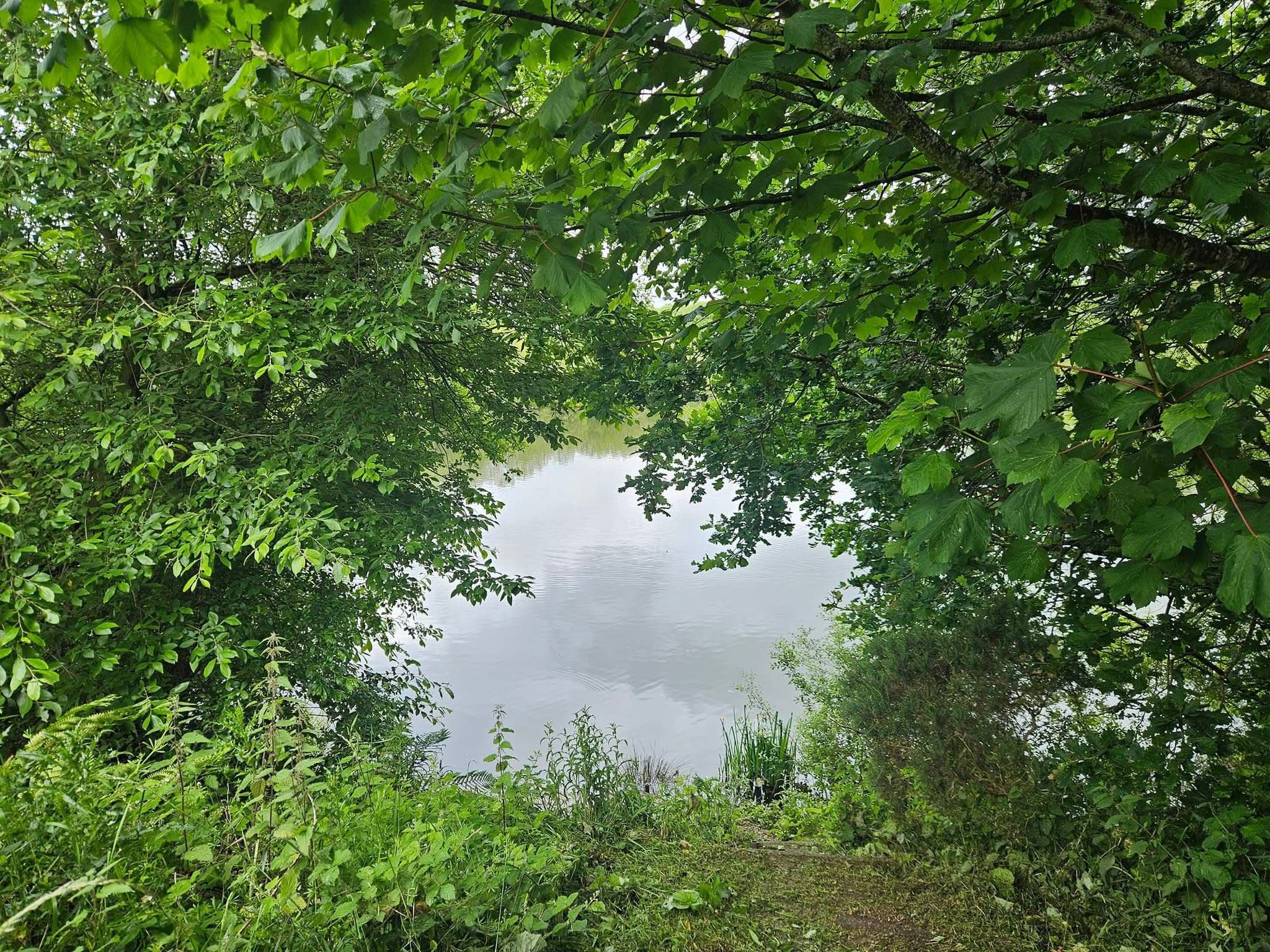 The Mount, Buckley photo 13