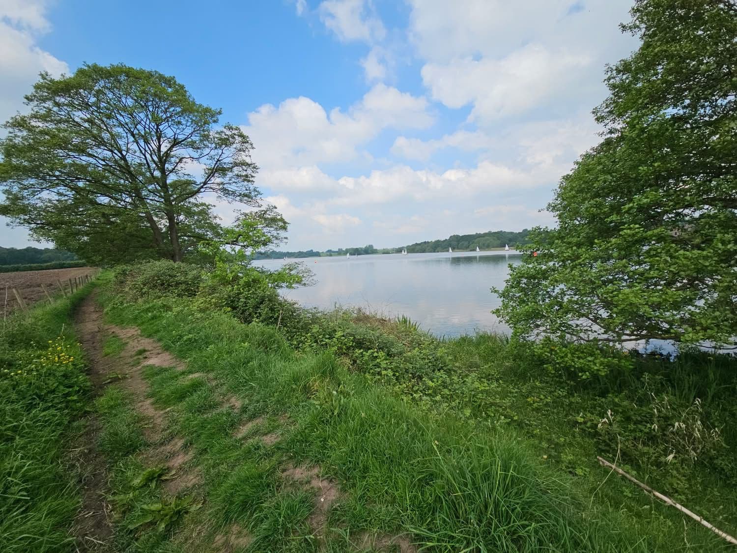 Budworth Mere photo 3