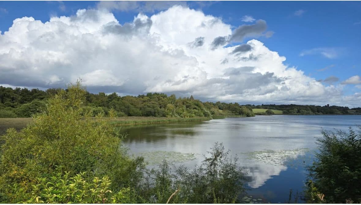 Budworth Mere photo 6