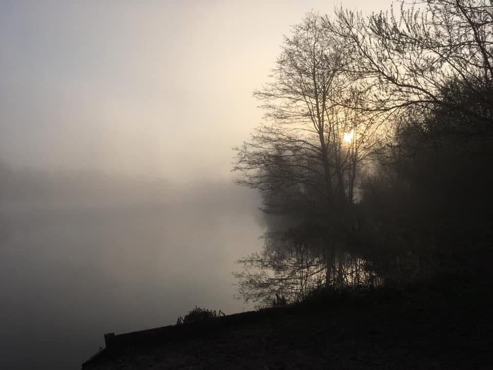 Grey Mist Mere photo 4