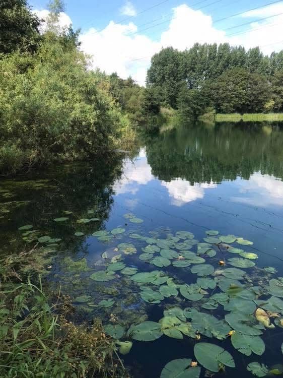 Grey Mist Mere photo 5