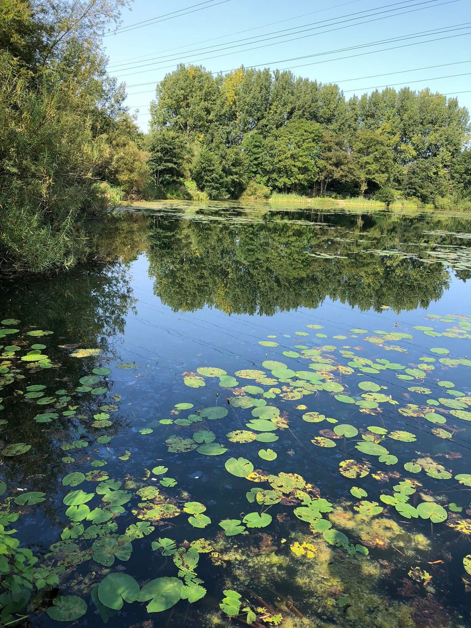 Grey Mist Mere photo 7