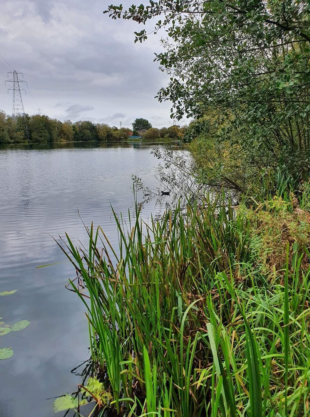 Grey Mist Mere photo 8