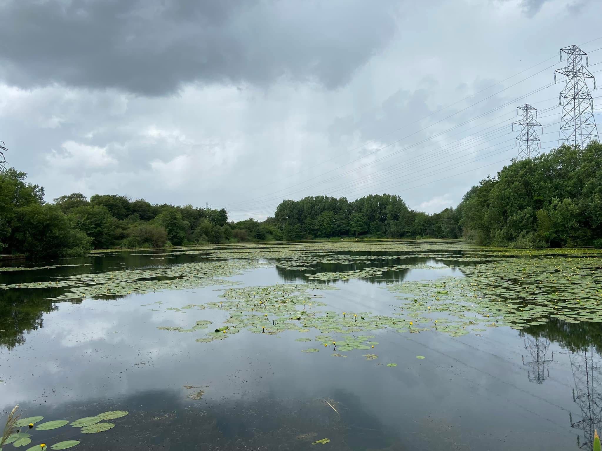 Grey Mist Mere photo 9