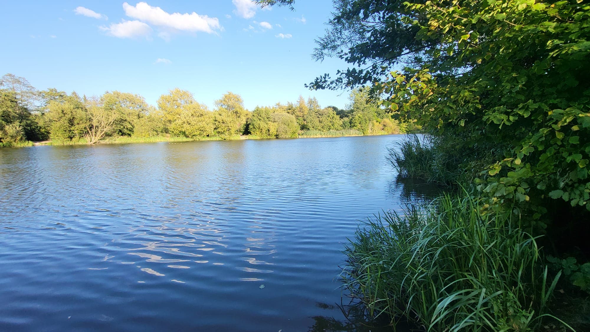 Phoenix Park Lake, Runcorn