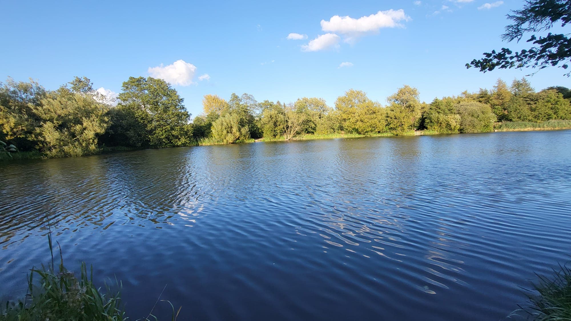 Phoenix Park Lake, Runcorn photo 3