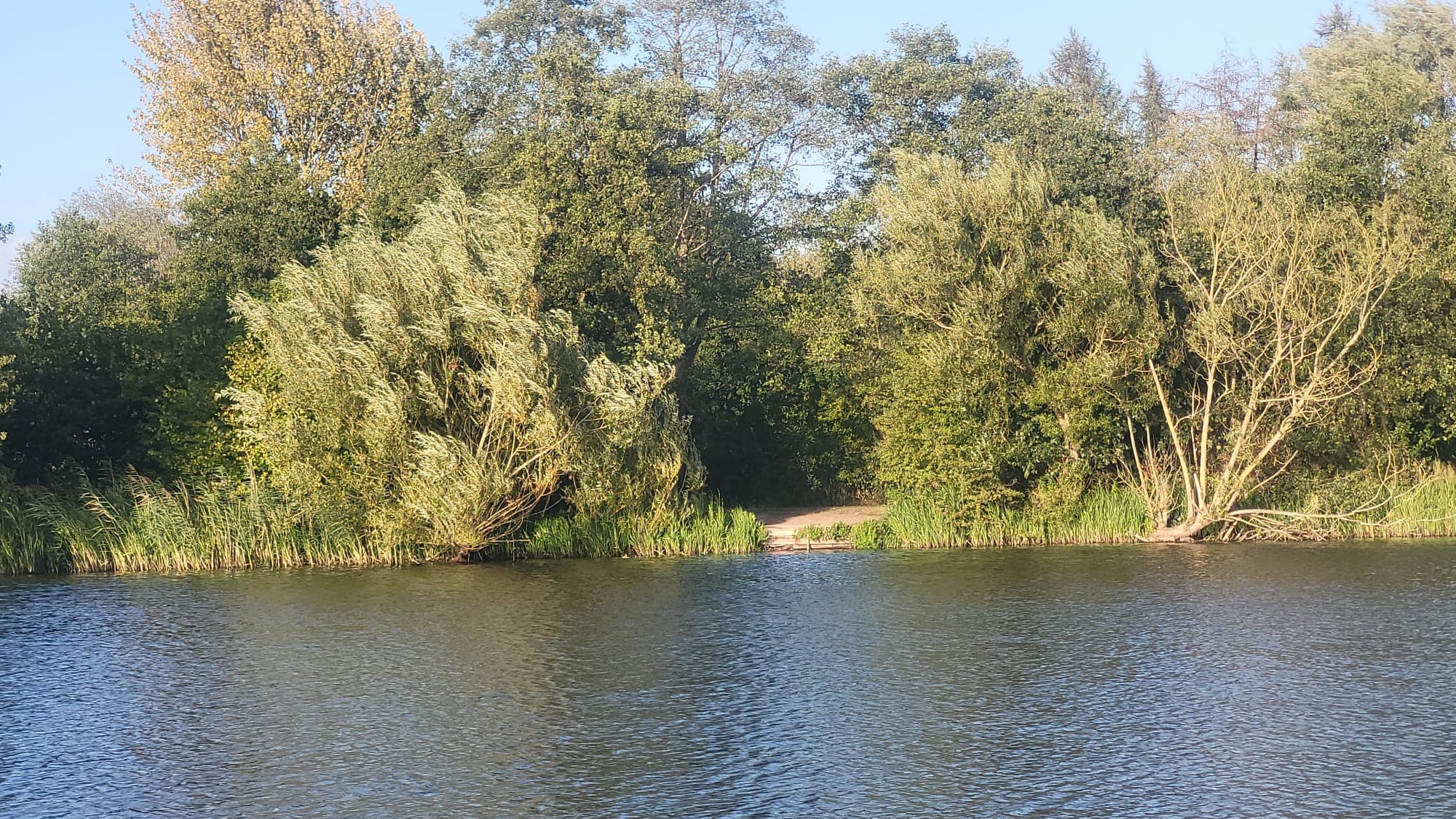 Phoenix Park Lake, Runcorn photo 4