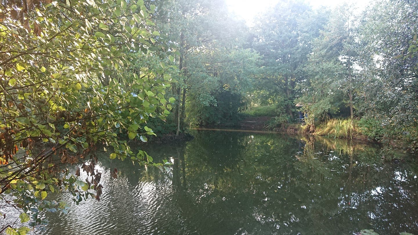 High Legh Fisheries photo 2