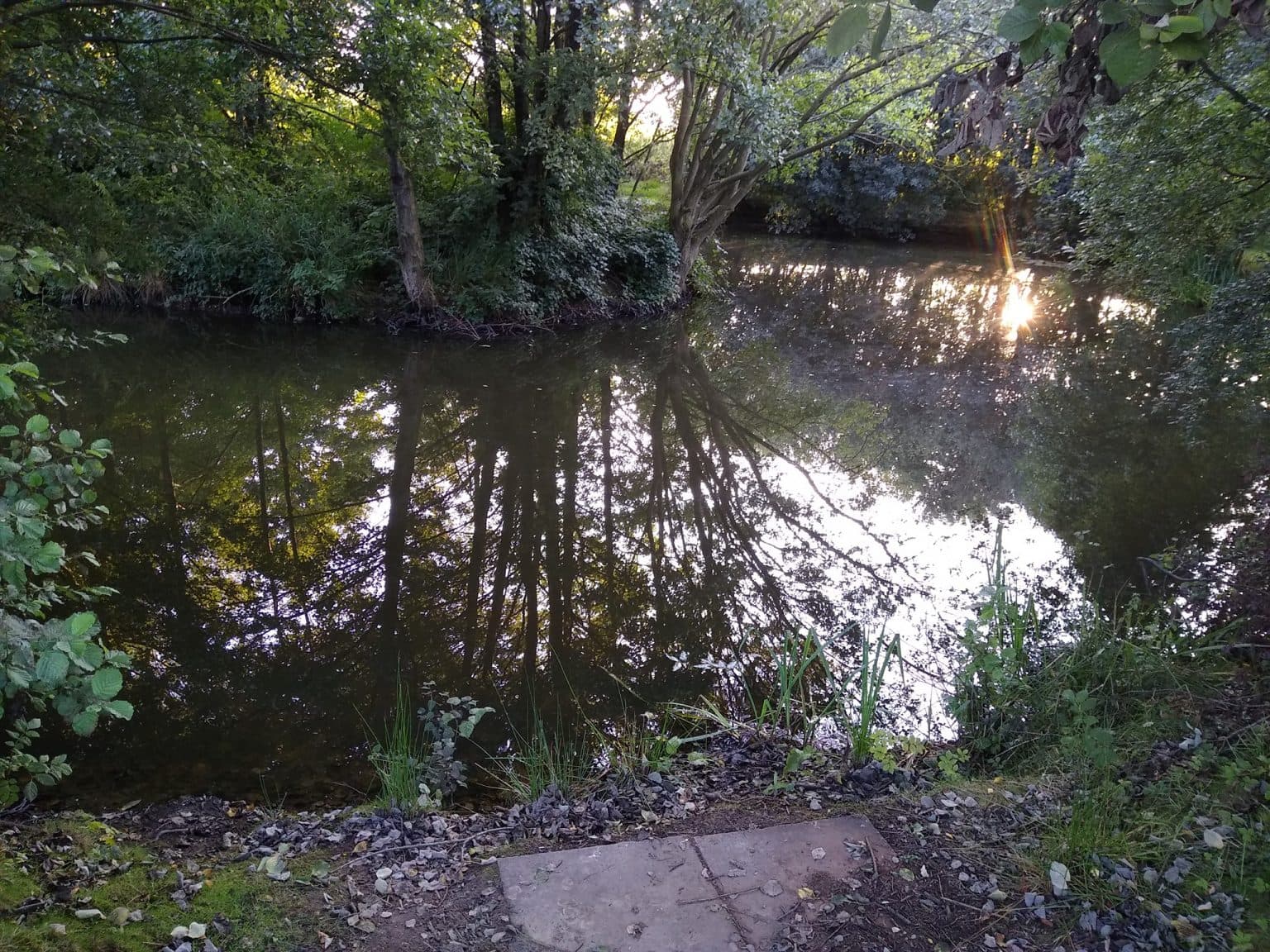 High Legh Fisheries photo 4