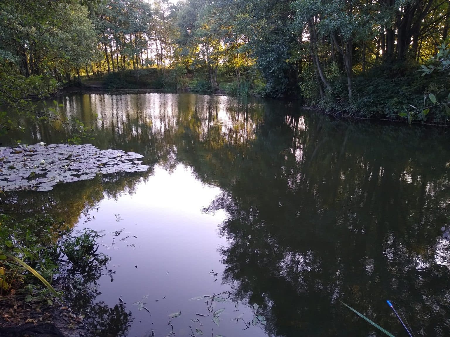 High Legh Fisheries photo 5