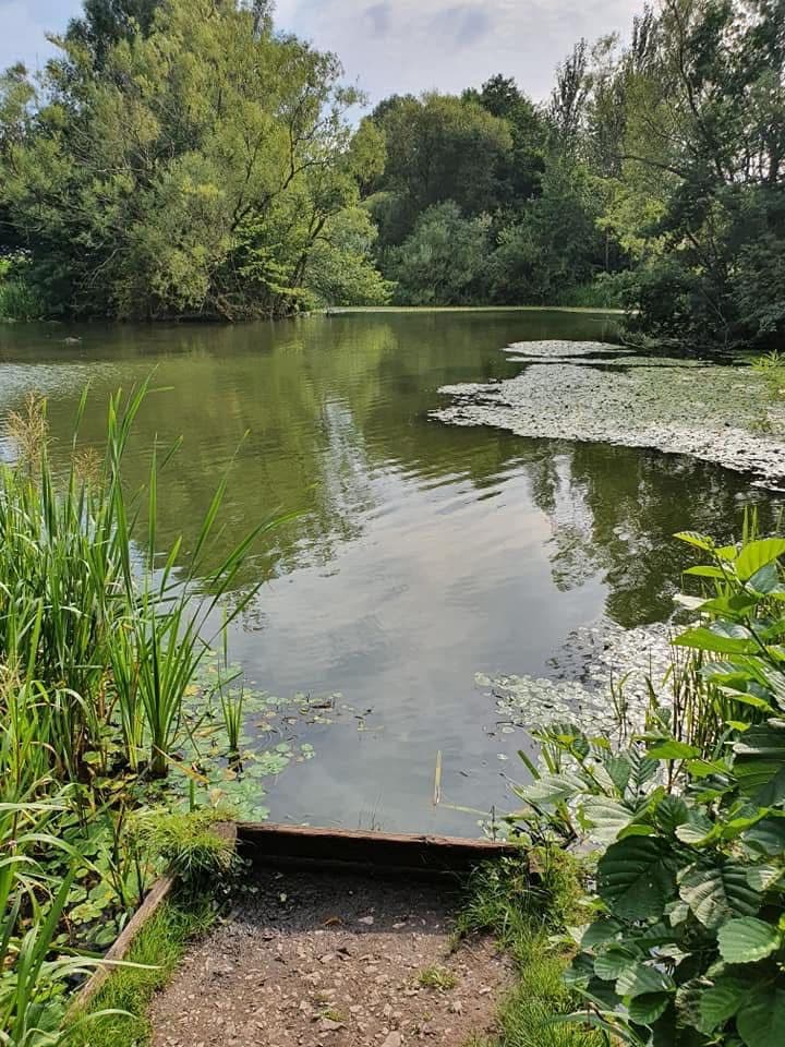 Phoenix Park Lake, Runcorn photo 5