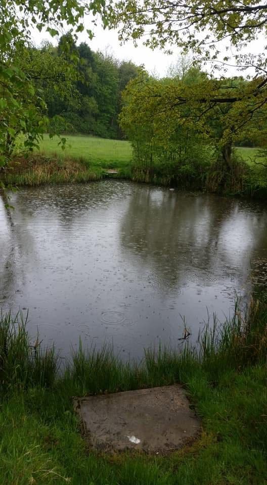 Carp Pool