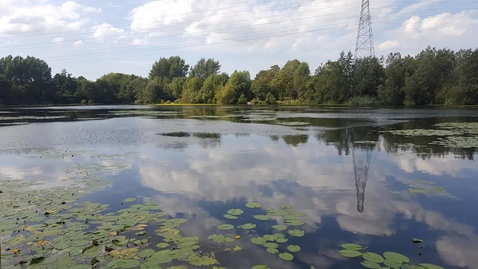 Grey Mist Mere photo 13