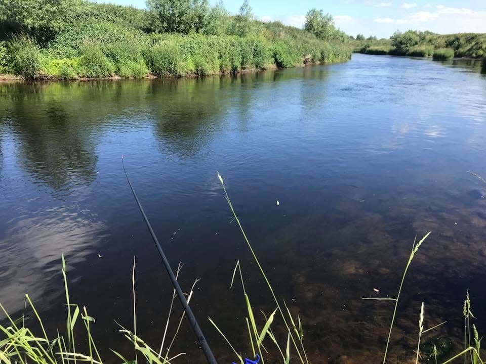 Dee - Worthenbury photo 3