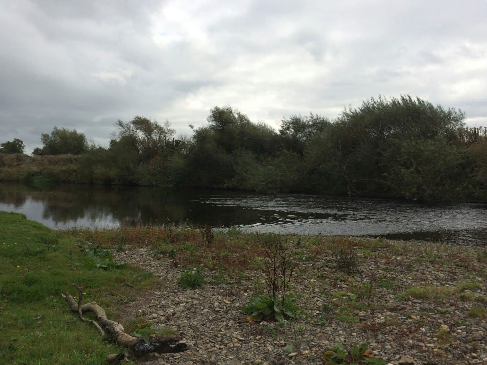 Dee - Worthenbury photo 6